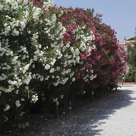 Vacanceole - Motas